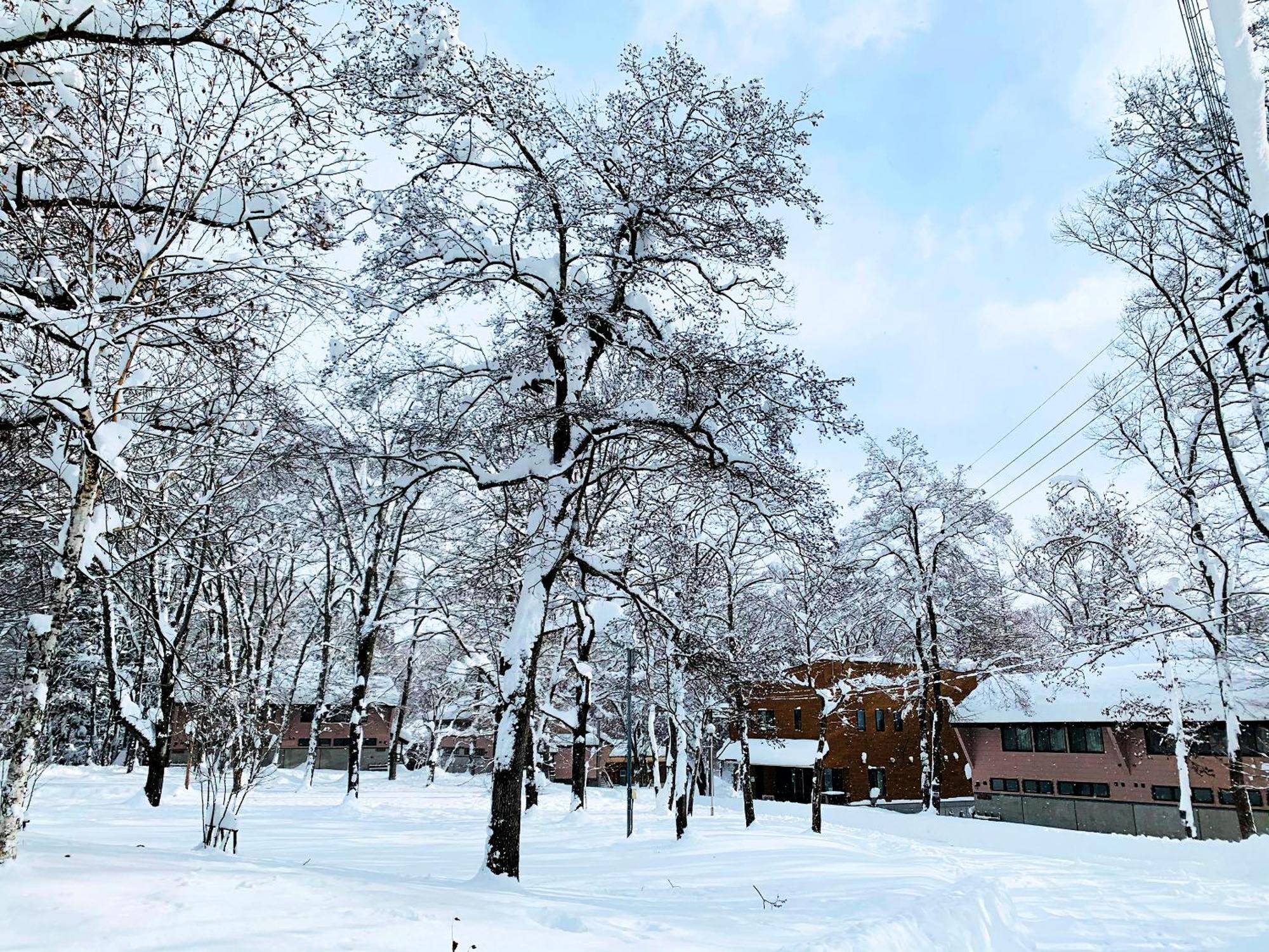 Vila Labo Land Kurohime Shinano  Exteriér fotografie