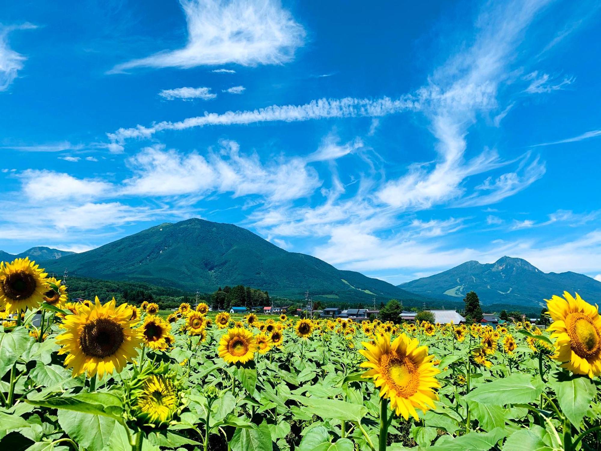 Vila Labo Land Kurohime Shinano  Exteriér fotografie